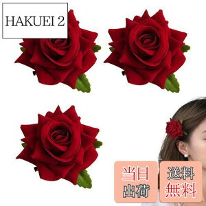 yzDoyime ỏԁy3{ZbgzKNt[RT[W Ԕ 傫ȉԂ̃u[` ԉ wbhhX   uC_ wbhhX _[Nbh