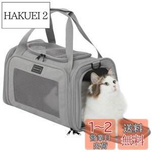 yzPETSFIT ybgL[ ܂肽 L L[ obO  E^LpE^Ep LCȂ ԍ/hCu/LsO/s/ʉ@/ЊQp O[ STCY