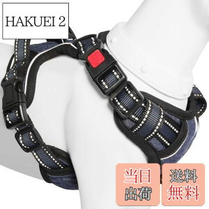 yz[2025ŐV^n[lX]BaoCheng p ^/^/^n[lX p h~ A^}ʂ P݌y TCY\ Ԕˍ Ȃ ʋC ȒP