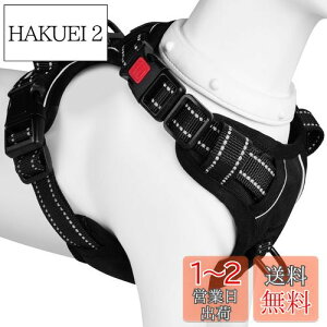 yz[2025ŐV^n[lX]BaoCheng p ^/^/^n[lX p h~ A^}ʂ P݌y TCY\ Ԕˍ Ȃ ʋC ȒP