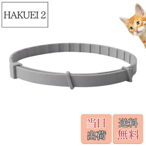 yzItisyou ybg悯 L m~ ybg̒ m~    38cm