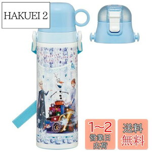 yzXP[^[(Skater) qp 2way XeX   580ml Rbv 570ml fBYj[ AiƐ̏ 24 qɗDyʃ^Cv j̎q  SKDC6-A