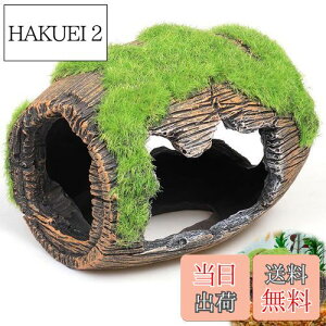 yzPAVIKE  B E[p[[p[ _J  GrB ۂނCM  CAEg ANAE  IuWF  I[ig   ^ u  ߋ 