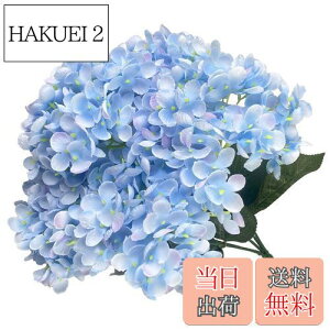 yzhimsyuden AWTC z  5 VNt[   A[gt[ DIYԍ Be lH Mtg j ԑ ItBX iX  CeA