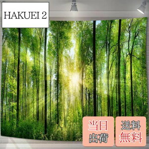 yzU-SITU ^yXg[ Ǌ| Ǐ X  ъ RiF IV wi @\ z|X^[ CeA ͋C]iTCYF75cm x 100cmjJ[FGT0107SA