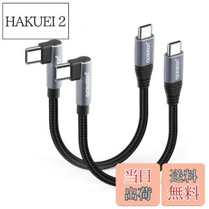 yzaceyoon USB C P[u Z 10cm Type-C L 2{ ő100W }[d ^CvC PL^ 10Z` 480Mbps f[^ CtoC P[u 90x  IX-IX 0.1M for iPhone16 15 V[Y for Galaxy ȂǂU