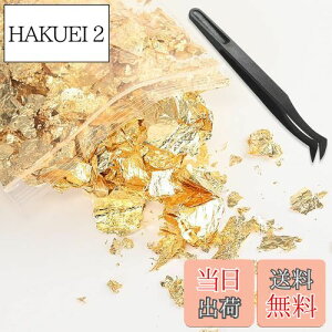 yzBEIHOO  wAp 10g sZbgt zO lCp V[g t[N ͑  l  Ǝ WFlC ZtlC DIYWG[ H|i W 