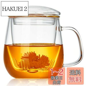 yz|JeB[ t}OJbv ϔMKX eB[Jbv 520ml Infusion Mug  }bO Wt ΑΉ dqWΉ g }OJbv NARbv  [teB[ H