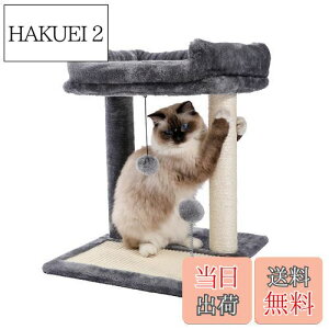 【送料無料】PAWZ Road キャットタワー ミニ 猫タワー 爪研ぎ 低い 小型 コンパクト 爪とぎポール 据え置き ミニタイプ 省スペース 猫おもちゃ天然サイザル 猫の遊び場 やすい 頑丈 見おろし展