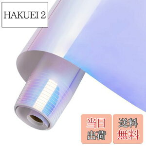 【送料無料】HTVRONT カッティングシート レインボー(虹) ホワイトホログラムシート カッティングシール カッティング用シート コップ 車 約152*30cm 防水耐候 室内室外