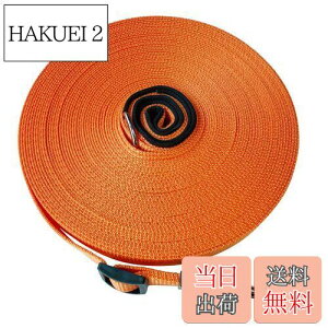 yzp[h O [v  ^E^E^p PEp U Ro ɕ iC v  WP[u (10m, IW)