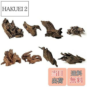 yz8 كVN R GCuؐ̑ i 8`10cmj