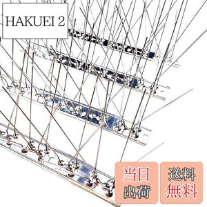 yzONESORA  悯 100%XeX o[hs ϋv y 3mz 悯 XpCN 悯 R LhS JX悯 ̃tQ΍  x_ J[|[g  Ԍ A