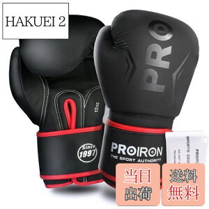 �y���������zPROIRON �{�N�V���O�O���[�u 12oz �{�N�V���O�p�O���[�u �p���`���O�O���[�u ���� �ϋv�������� ���K boxing gloves �����e�i���X�o�b�O�t�� 1�N�Ԃ̕ۏ�