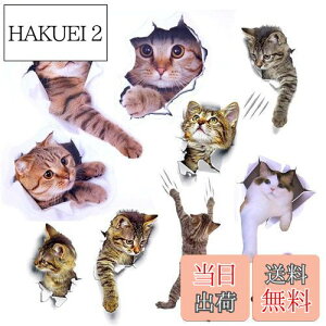 yzPazi EH[XebJ[ L   XebJ[ ˂ V[ 킢 3D ȒP DIY  \Ă͂  ǎ gC  Lb` CeA