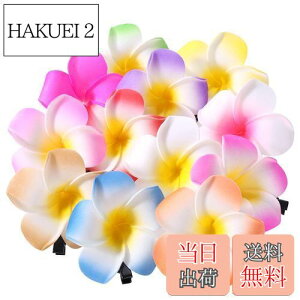 yzFrcolor  wAs wANbv  vA wAANZT[ wANbv nC  wbhhX 6cm 12F 24Zbg