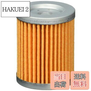 �y���������z�L�^�R (KITACO) �I�C���t�B���^�[�G�������g K-PIT S-05 �X�J�C�E�F�C�u250 �o���o��200 �}�O�U�� �O�����h�}�W�F�X�e�B �� 70-390-12050