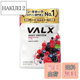 【送料無料】VALX バルクス ホエイ プロテイン 1kg ホエイプロテイン プロテイン WPC ダイエット 山本義徳 監修 国内製造 サイズ：低容量(420g)