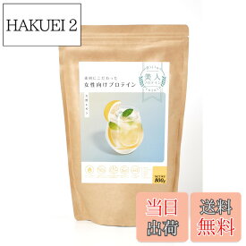 【送料無料】美人プロテイン 人工甘味料不使用ソイプロテイン 女性向け 低糖質 美容プロテイン サイズ：800g