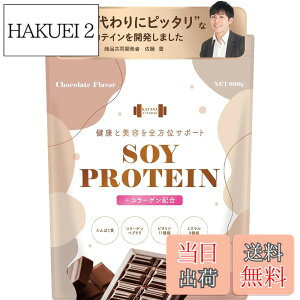 �y���������zKATANA ���S�h�{�H �\�C�v���e�C�� �l�H�Ö����s�g�p �`���R���[�g���� 600g �R���[�Q���z�� ���v����ς���21.6g/�H �R���[�Q���y�v�`�h3.1g/�H �r�^�~��11�� �~�l����9��