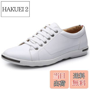 yz[Lopis] y Xj[J[ Y tFCNU[  V[Y [Jbg lC C ʋ ʊw jp  Sn FFzCgATCYF26.5 cm