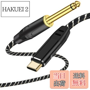 �y���������zUSB Type-C�M�^�[�P�[�u���A�y��p�^�C�vC - 6.35mm�I�X�ϊ��R�[�h �T�C�Y�F2M