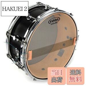 �y���������zEVANS �G���@���X �h�����w�b�h �X�l�A�T�C�h300 / Snare Side 300 (3mil) �y�������K�i�z �T�C�Y�F13
