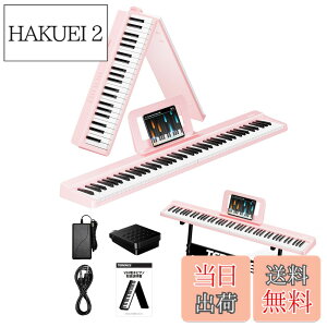 �y���������zTERENCE �d�q�s�A�m 88���� V20-Z �F�F�s���N�A�T�C�Y�F�R���p�N�g