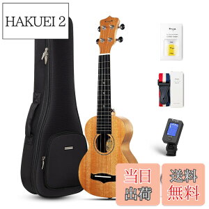 �y���������zEnya �}�z�K�j�[�E�N���� �F�F�؂̐F�\�v���m�E�N�����A�T�C�Y�F�\�v���m