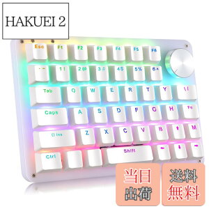 �y���������zKoolertron �Ў�L�[�{�[�h �m�u�t�� �}�N���L�[�{�[�h 45�L�[ �L���ڑ� ����f�o�C�X 4���C���[ ���J�j�J�� �v���O�����\ RGB �o�b�N���C�g �J�X�^�}�C�Y�\ �~�j �V���b�g�J�b