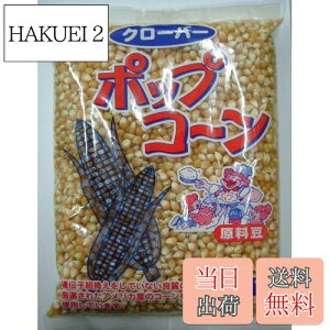 yzN[o[ |bvR[Ɩp 1kg TCYF1LO (x 1)