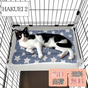 yzPOOKIE ybg }bg P[Wp L xbh Ȃ lRt {A  _炩 o[Vu 􂦂 tt ӂӂ Lbg^[ \t@ (O[X^[) TC