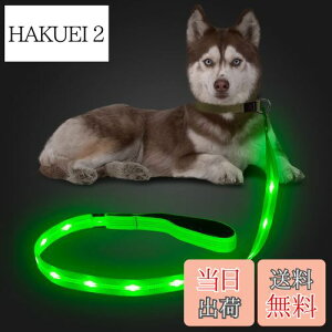 yzCandofly ˌ^ LED p[h - ÈłŌ錢p[h USB [dƖtp[vA4 tB[g̑ϋv̂ϐ_Ōp[hAybǧ̖̎Up ()