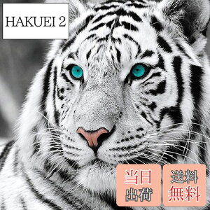 yzReofrey _Ch̊G _ChA[g NXXeb` Lbg , Lbg Sʓ\t^Cv r[YA DIY |Lbgz[ Xg CXg[ z[ 