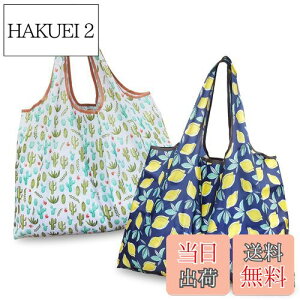 yz[GOKEI] GRobO y2 50×67cm eʁz ܂肽 obO RrjobO hf [ ≘ɂ y RpNg