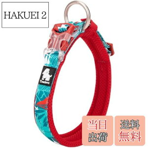 yzcocomall{X  ̎ pP ^A^A^p ybgpi 3Mˍޗ iC ʋC e͐ \tg ߉\ (S, blue&red)