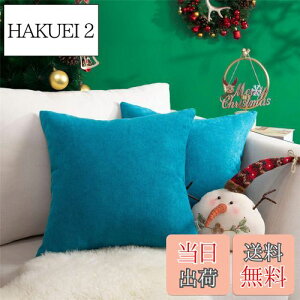 yzTopfinel NbVJo[ lۂ 45×45cm k  Ȗ n \t@w Jo[ zcJo[ u[ 2ZbgiS10Fj