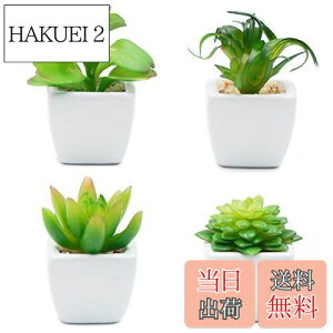 yzTOSSOW lHA ~j lHϗtA  ͂Ȃ CeA 4_Zbg ` v[g