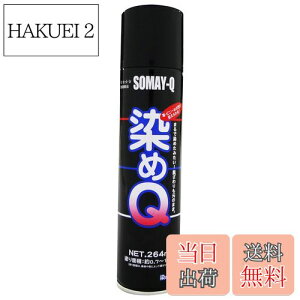 【送料無料】染めQテクノロジィ(Somay-Q Technology) 染めQエアゾール ブラック 264ML 油彩