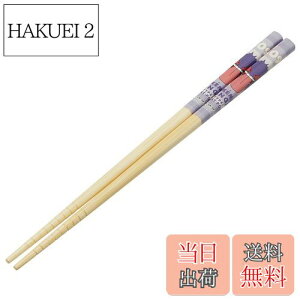 yzXP[^[(Skater) |S  | 21cm |PbgX^[ QK[  ANT4-A