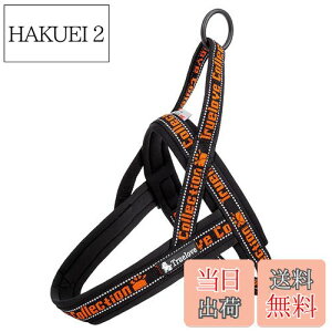 yzcocomall AɗDn[lX 2022ŐV TRUE LOVE{X pn[lX p hbO ybgpi 3Mˍޗ P o lIvf ^A^A^Ɍ ʋC