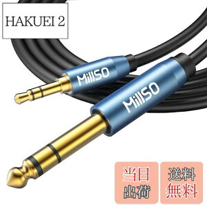 yzMillSO 6.35mm 3.5mm ϊP[u IX-IX I[fBIϊP[u 3.5mm~jvO to 6.35mmWvO 24bL XeIP[u 2.4m u[