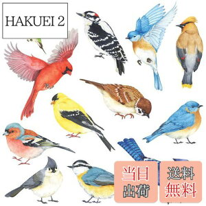 yzDECOWALL DS-8042  () EH[XebJ[ fR ct ۈ牀 q DIY p Ǔ] V[ EH[A[g V[ j̎q ̎q ǂ oX[ fR[V rj[