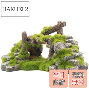 yzS-Lifeeling    A ؂̈  T ^N   GrVF^[