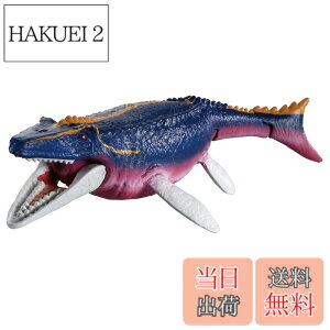 ���i�摜