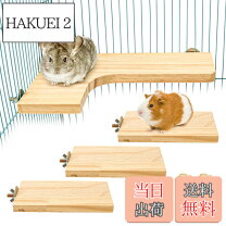 楽天市場】チンチラ飼育セットの通販