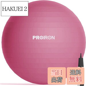 �y���������zPROIRON �o�����X�{�[�� 65cm ���b�h �n���h�|���v�t�� �^���s���̉���