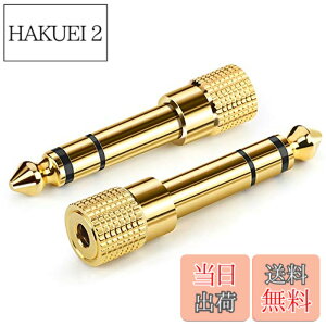 �y���������zAncable �C���z���W���b�N �ϊ� �v���O 2�{ �X�e���I�~�j�v���O 6.35mm 3.5mm �ϊ� �A�_�v�^ ���X�I�X �w�b�h�z�� �A���v �d�q�s�A�m �C���z���ȂǗp