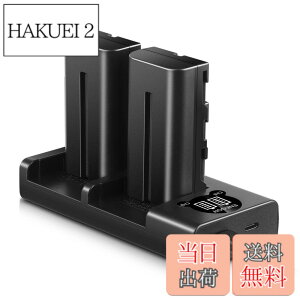�y���������zENEGON Sony NP-F550/NP-F570�݊��o�b�e���[�i2�j2900mAh+USB�[�d�� �Ή�NP-F530/ NP-F550 /NP-F570/ NP-F330/ CCD-RV100/ RV200/ TR1 /TR940 /TR917 /CN-160 /CN-216 /CN-304 /YN 300 /V607u /V617u