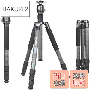 �y���������zINNOREL RT85C �J�[�{�� �O�r �{�[���_�� �L�b�g 184CM �g���x���O�r �v���� �i�b�g���b�N�� �G���x�[�^�[�� �ω׏d 25KG �l�i�r ��r�ώ� �p�C�v�a32mm ���y�� �^���� �o�R ��O �쒹 